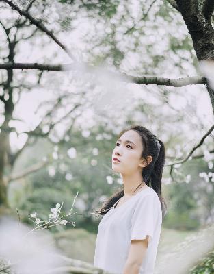 少女たちよ3D动漫观看